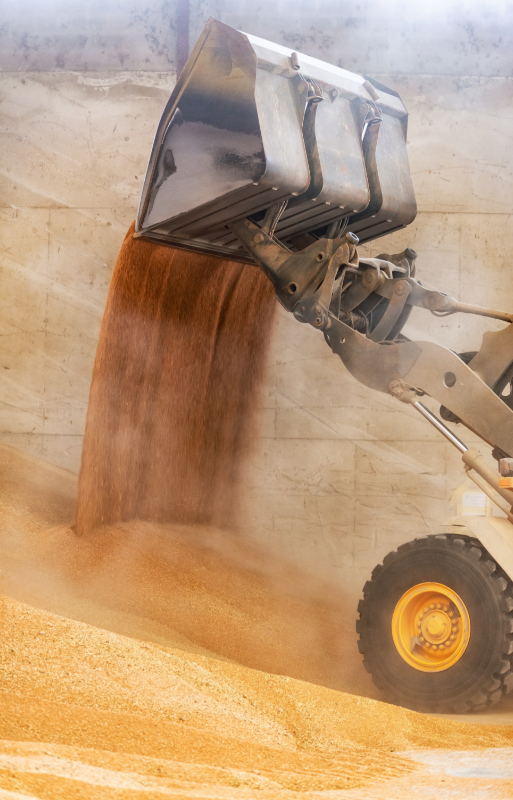 buldoexcavator descarcare cupa